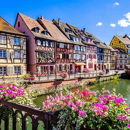 Appartement Colmar Colmar