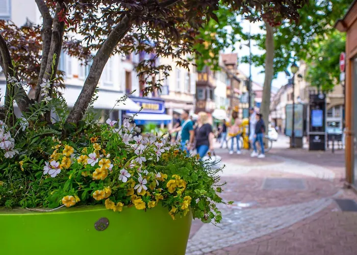 Colmar